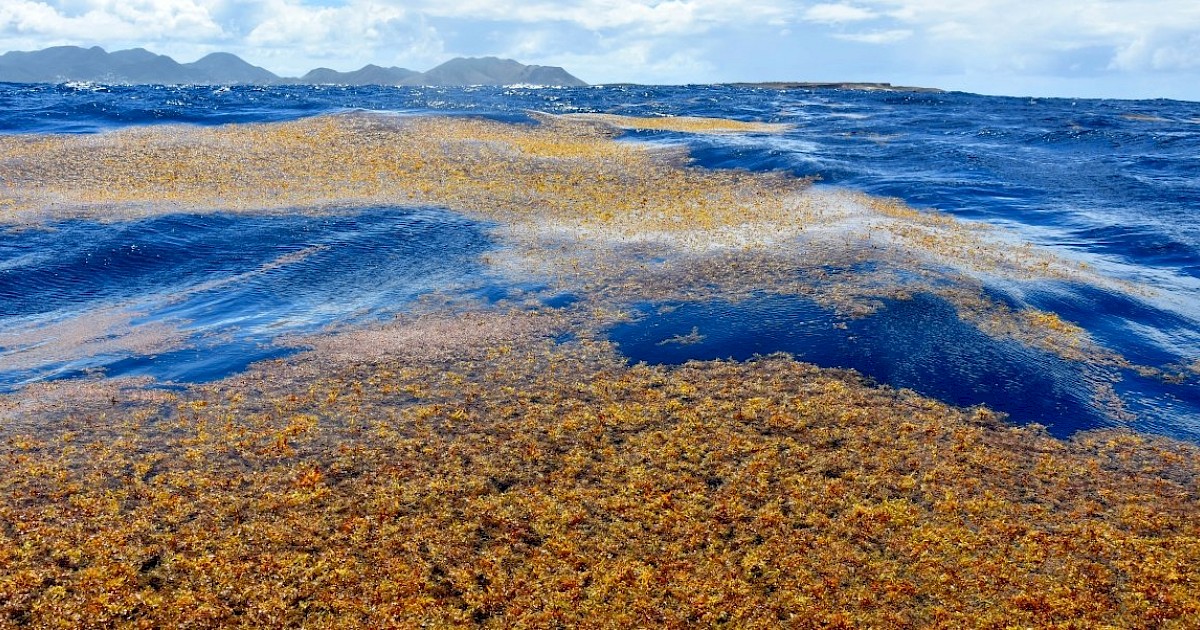 Marea care nu atinge niciun țărm pentru că nu are maluri