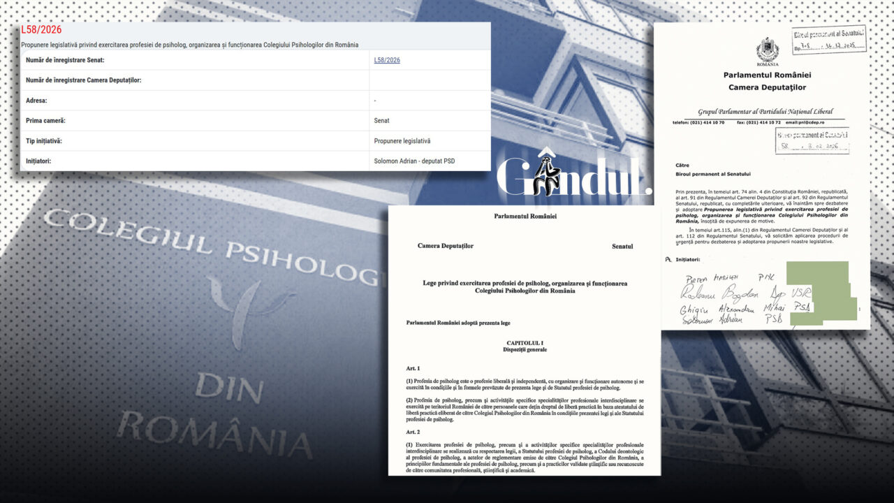 Cine a „întors” Parlamentul împotriva psihologilor. Reforma breslei, blocată de o campanie coordonată de dezinformare. Personajul cheie este o psiholoagă condamnată penal pentru fals în acte medicale
