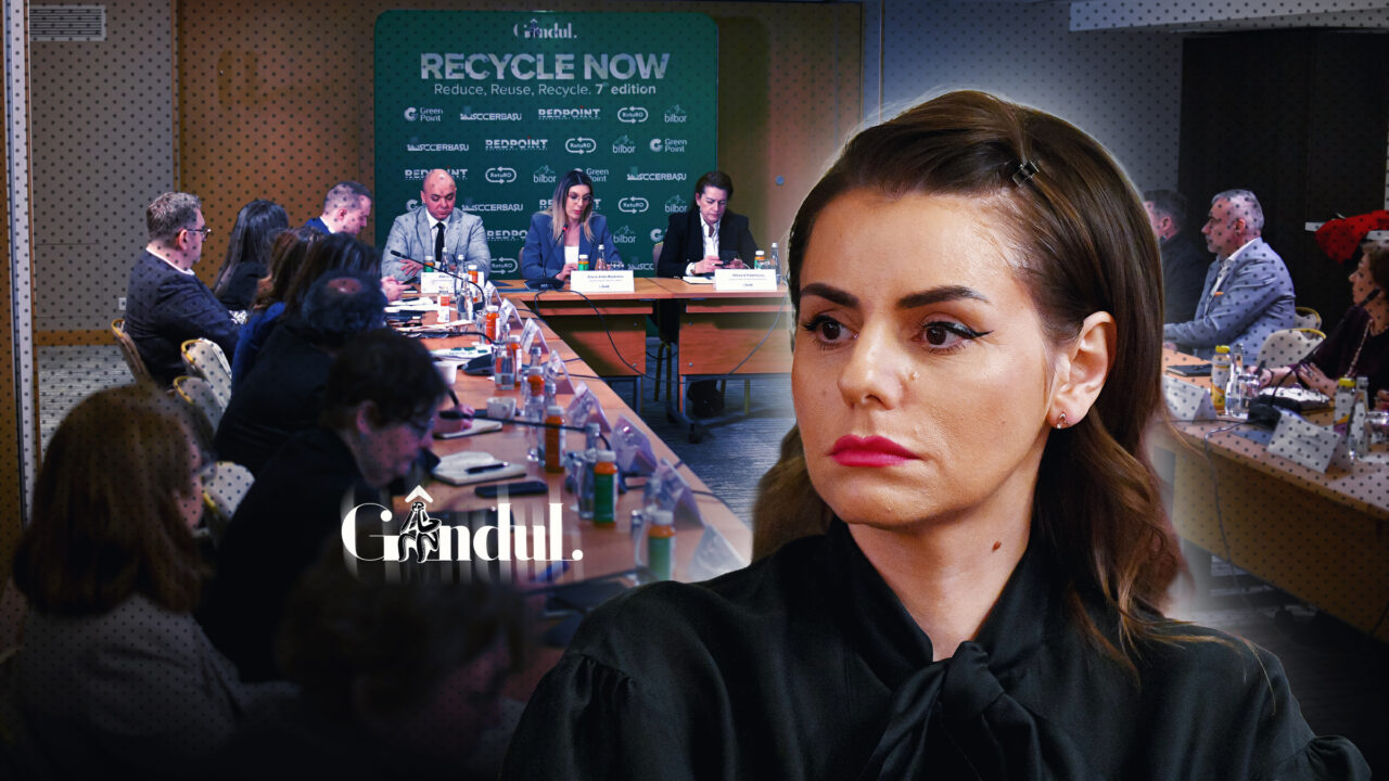 Mihaela Sofronea, GreenGroup, la Gândul Recycle Now: „Industria reciclării are nevoie de stabilitate și viziune strategică”