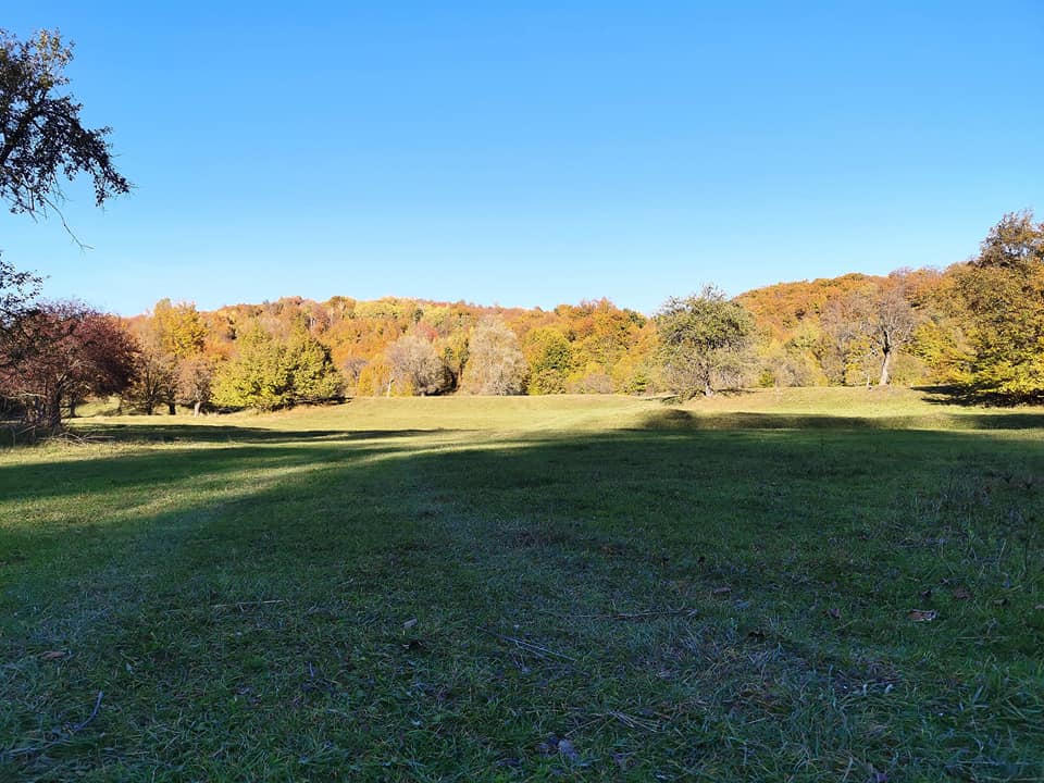 Stațiunea din România, aflată la doar 3 ore de București, renumită pentru aerul său curat. Nu degeaba i se spunea „Plămânul de oțel al regiunii”