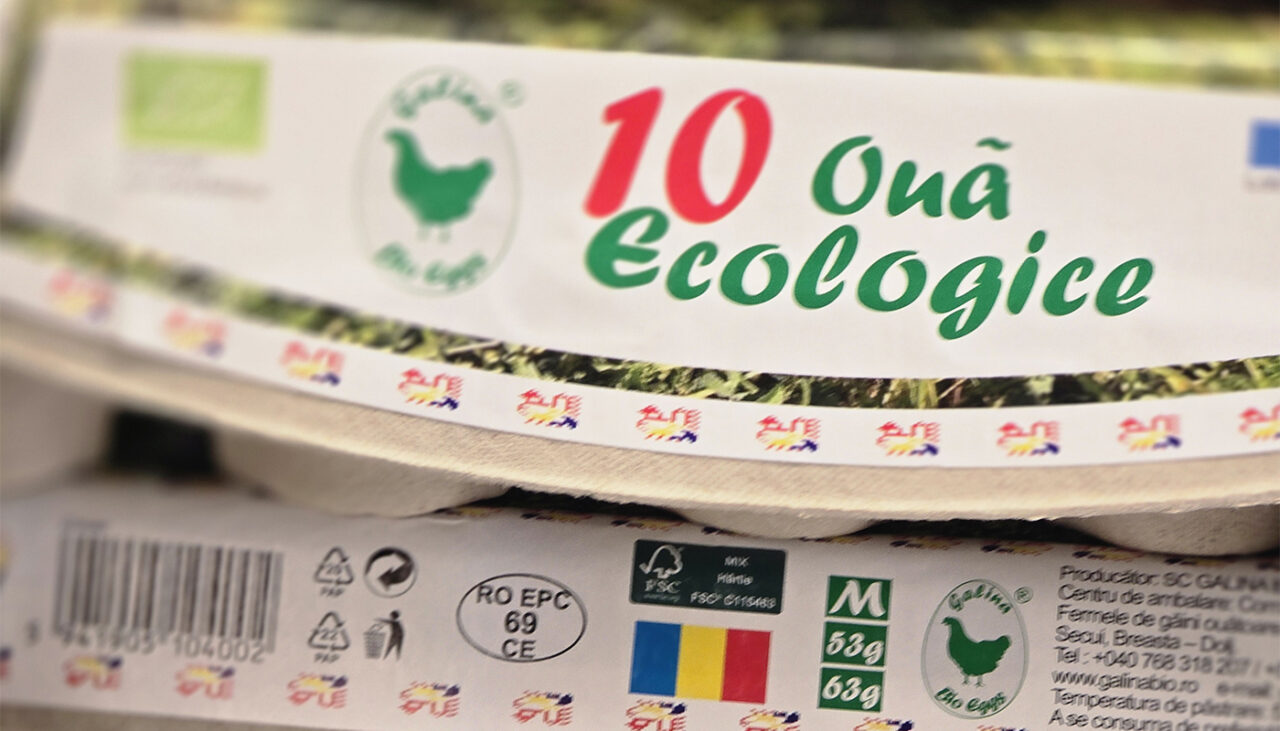Când oul e mai scump decât găina…Cât costă un cofraj cu ouă ecologice în Kaufland?