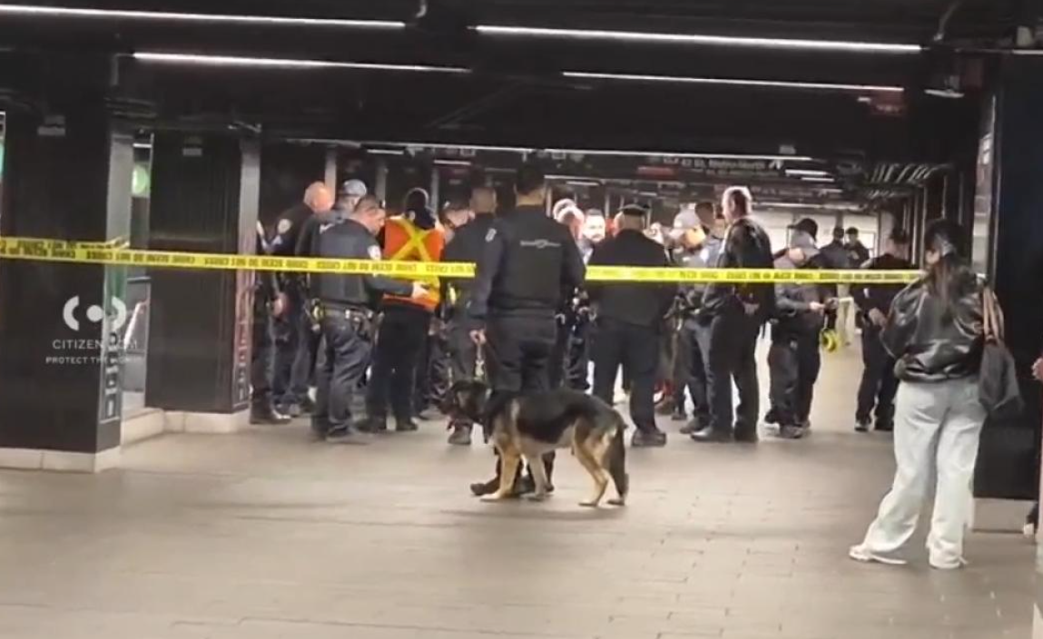 Un american, „Lucifer”, a înjunghiat trei bătrâni cu o macetă în stația de metrou Grand Central din New York. Poliția l-a executat pe peron