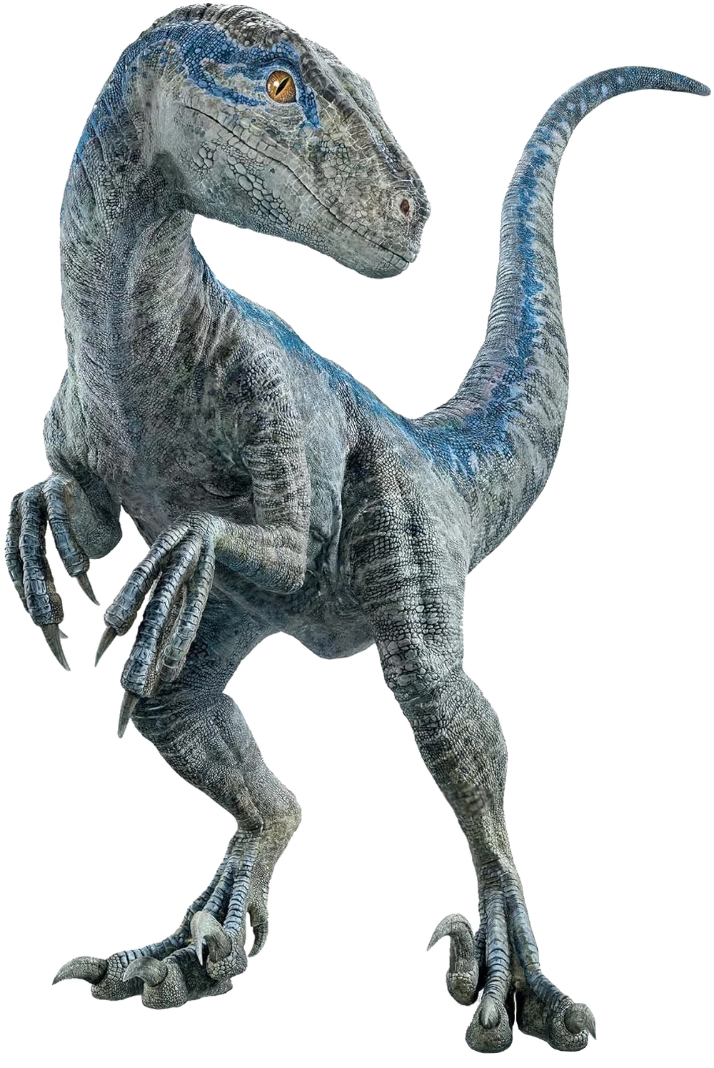 Un velociraptor ilustrat eronat în filmele „Jurassic Park” 