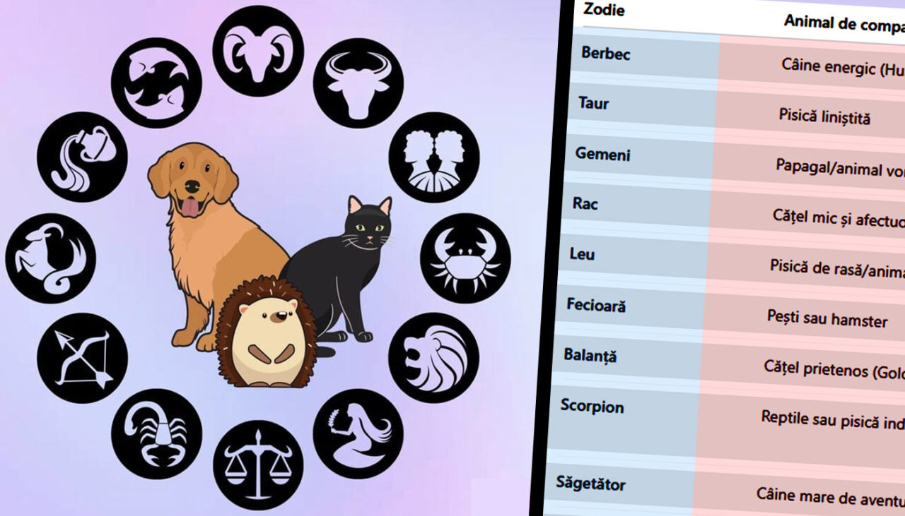 Ce animal de companie ți se potrivește, în funcție de zodie. Care sunt singurii nativi care nu ar trebui să aibă unul