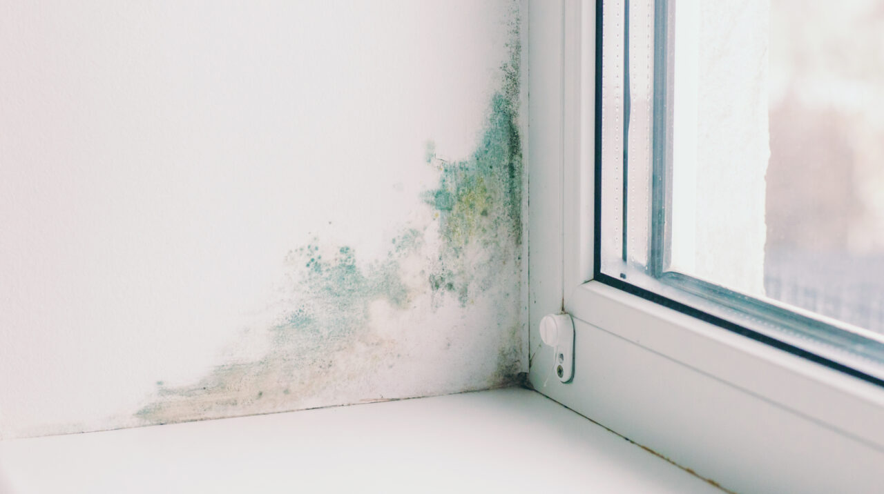 Cum scapi de „petele negre” de pe pereți care apar în urma problemelor de condens. La ce metodă poți apela