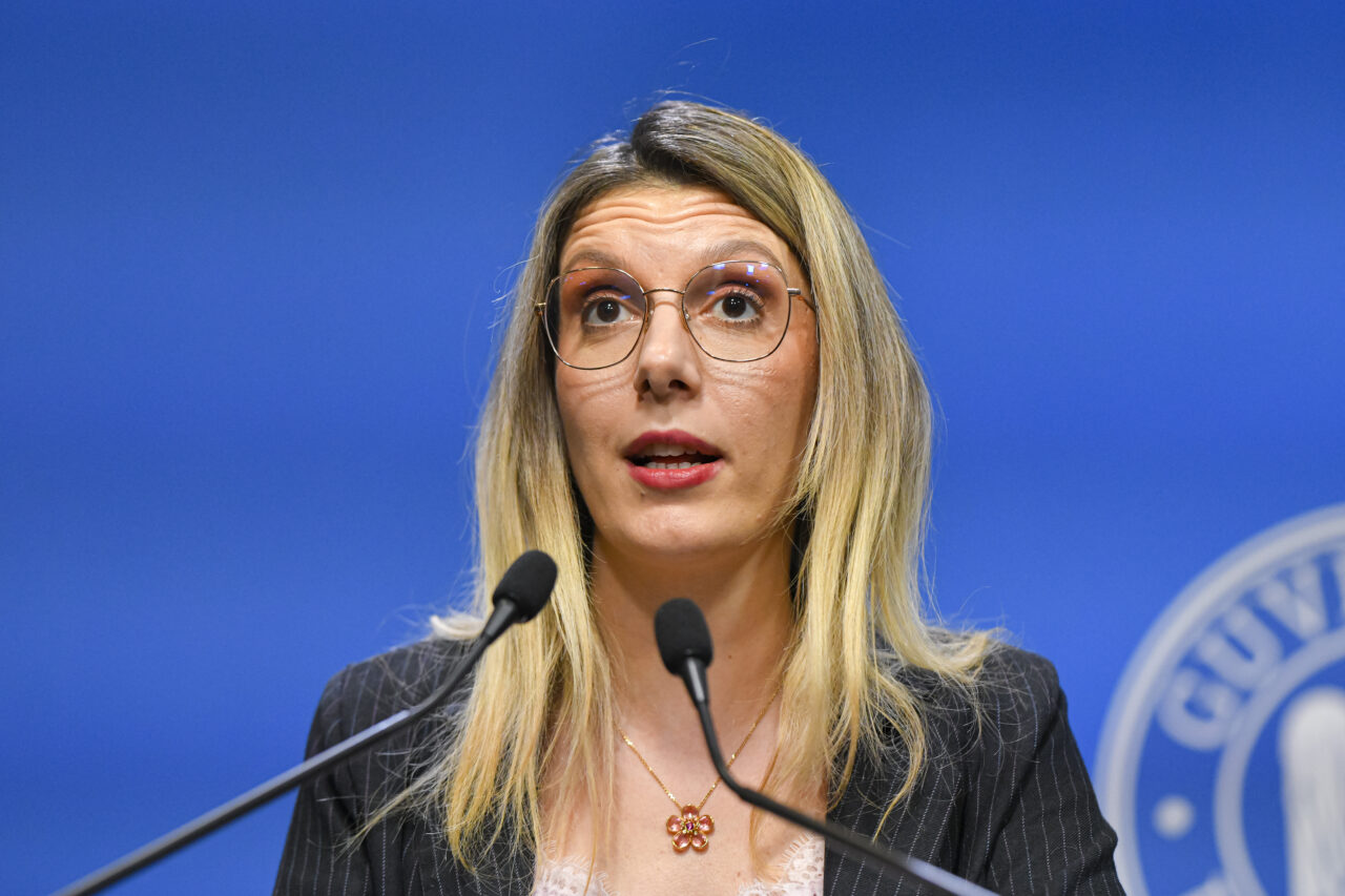 Ce soluție a găsit Diana Buzoianu în cazul prelungirii crizei politice: „Ne putem întoarce oricând la alegeri anticipate” 