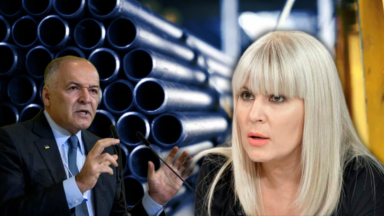Elena Udrea se dezlănțuie, după ce a aflat că un oligarh din Ucraina a cumpărat fabrica de la Roman: „Se repetă prostia, lașitatea si slugărnicia”