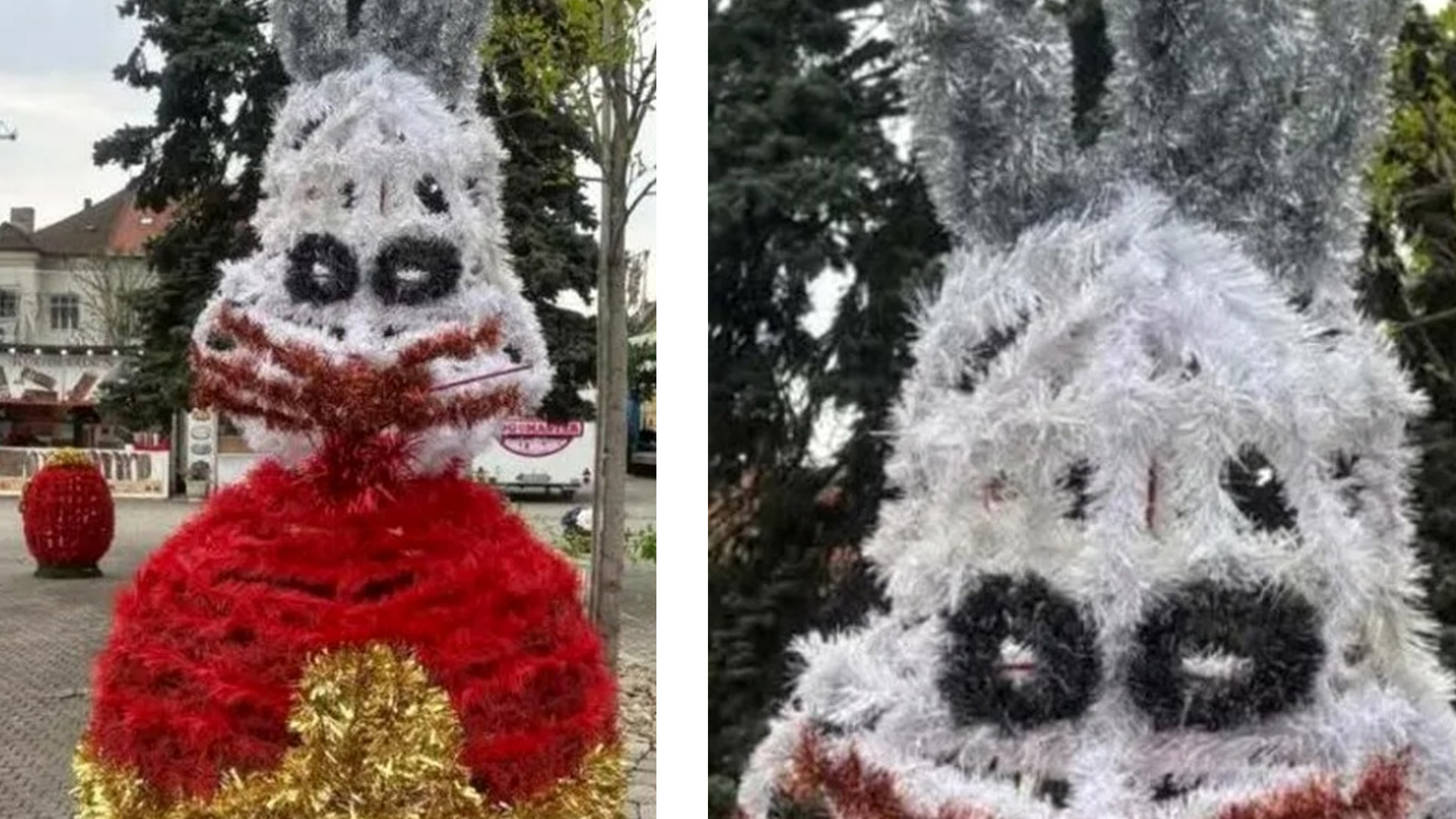 Iepurași cu aspect horror în Baia Mare