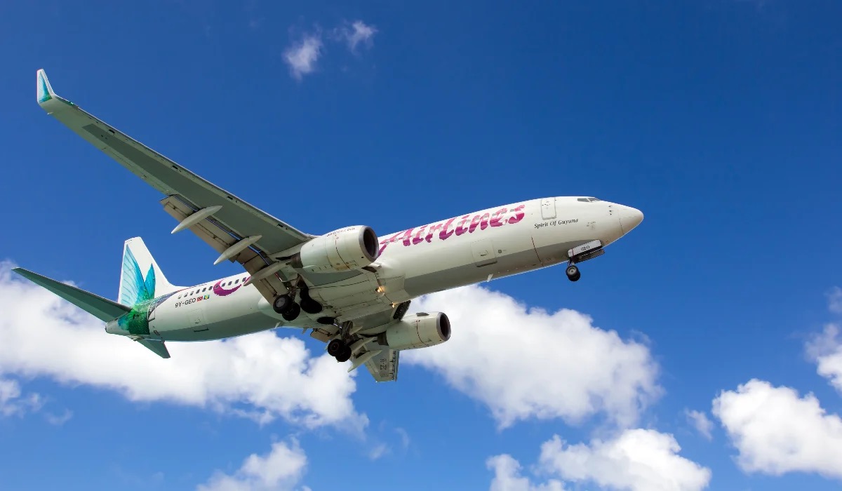 Naștere la bordul unui avion spre New York. Dialog viral între pilot și turnul de control