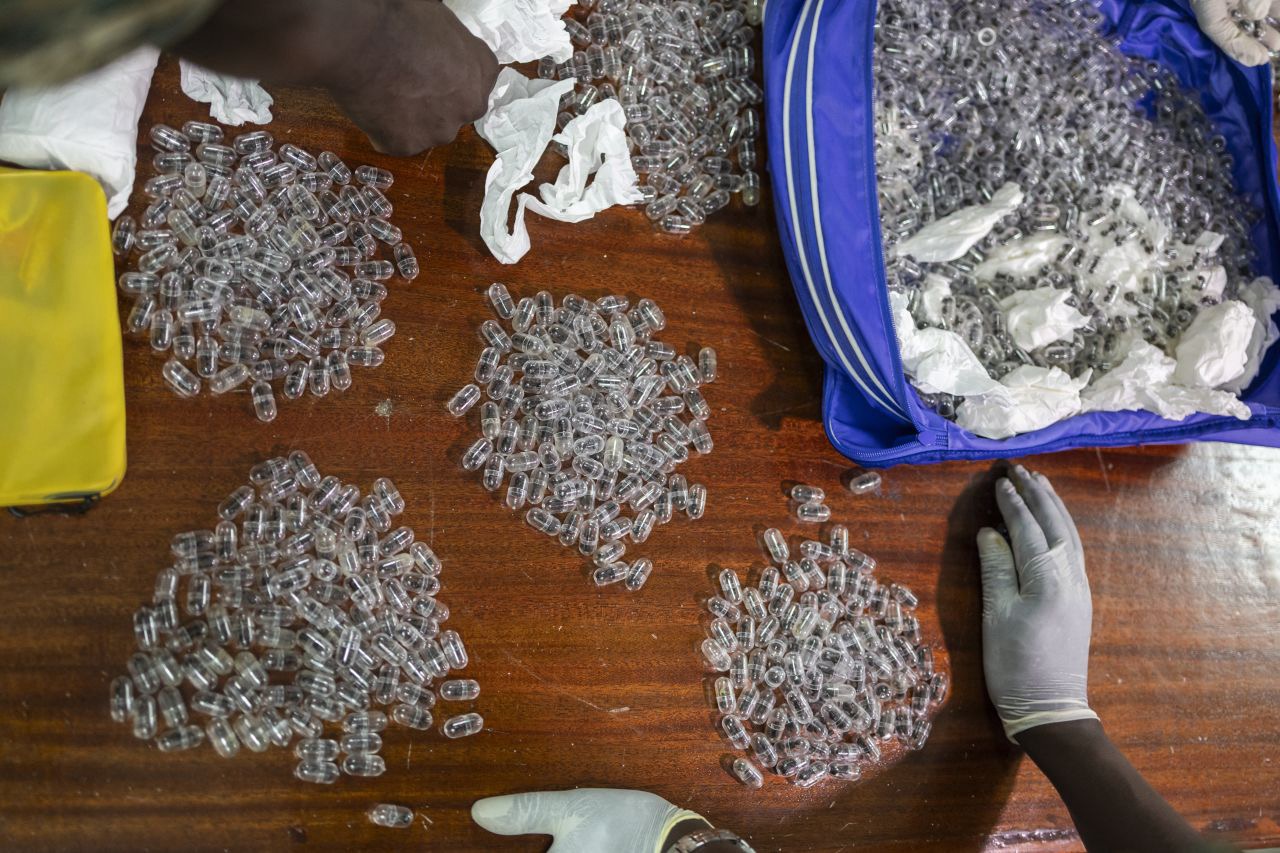 Traficul cu furnici devine industrie: un cetățean chinez, condamnat în Kenya după ce a fost prins cu 2.200 de furnici în bagaje