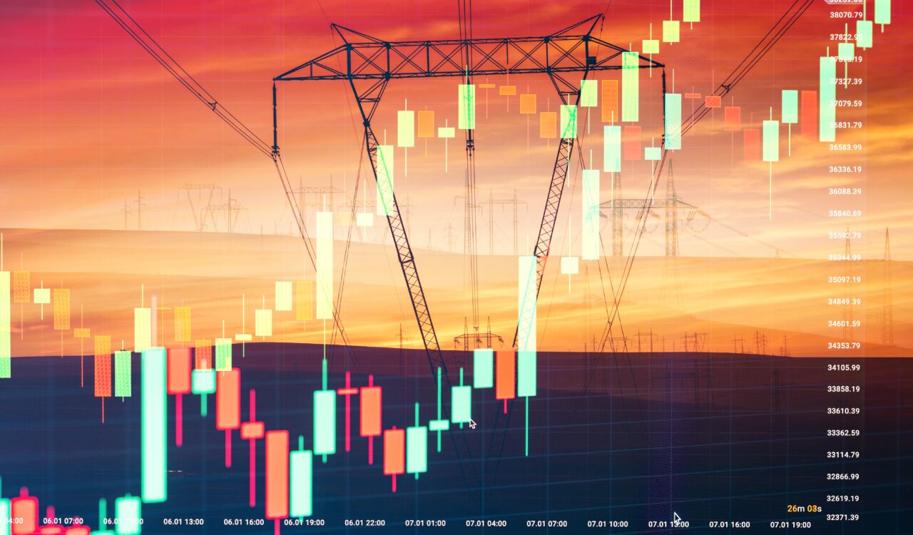 România între două reforme diametral opuse. A transformat internetul într-un succes patriotic, dar a lăsat energia pe mâna „băieților deștepți”