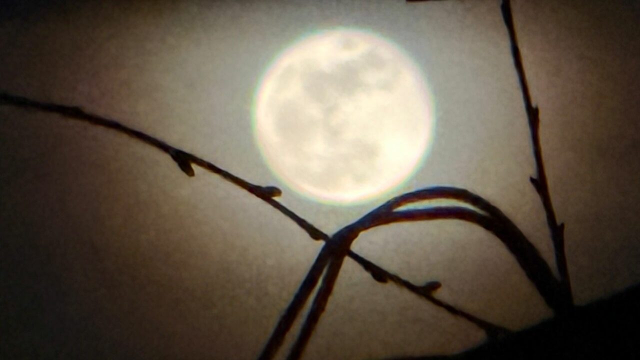 Spectacol pe cer. „Luna roz” în plină splendoare