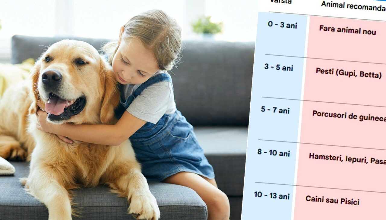 Ce animal de companie să îi cumperi copilului tău, în funcție de vârsta lui