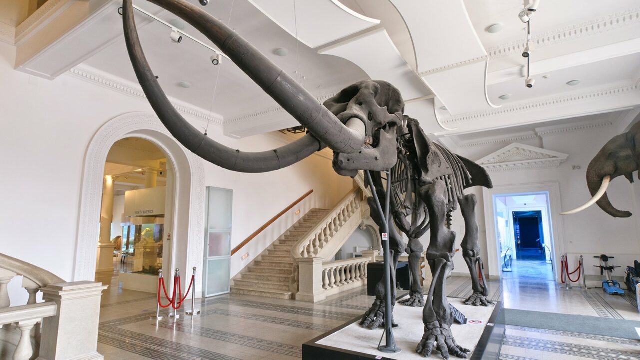 Programul de Paște al principalelor muzee din București