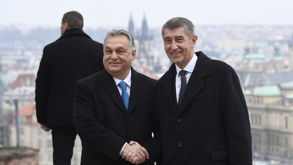 Premierul ceh își exprimă susținerea pentru Viktor Orban înaintea alegerilor parlamentare de duminică. Ce spune Babis despre scrutin