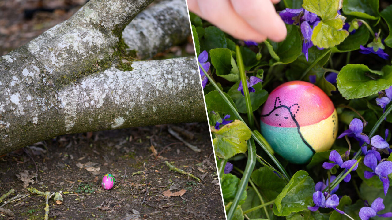 Trei germani, printre care și un bebeluș, au murit la o „vânătoare de ouă de Paște”, eveniment tradițional la care au participat 50 de persoane