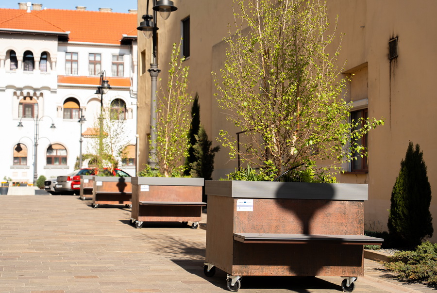 Țara nu are bani, dar Oradea cumpăra copaci pe roți cu 2600 de euro bucata. Poze incredibile cu “pădurea urbană mobilă” din orașul lui Bolojan 