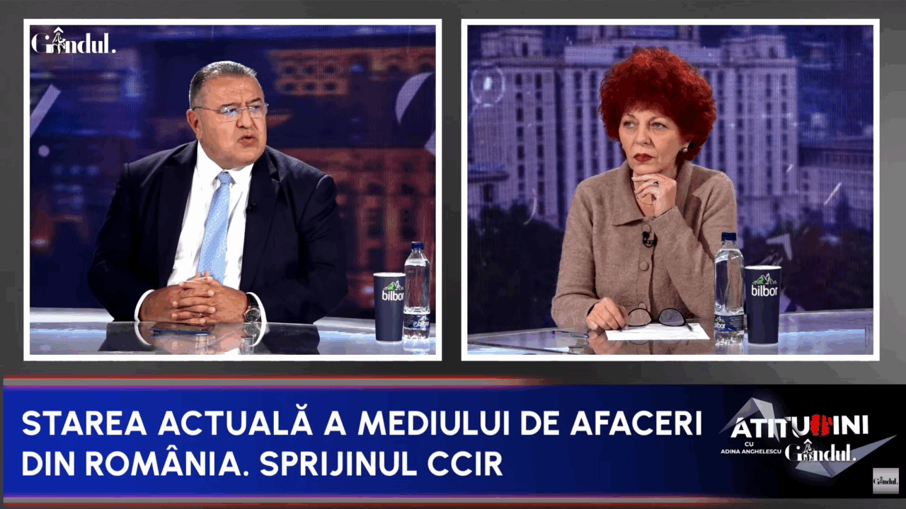 Mihai Daraban, șeful Camerei de Comerț: „România este pe ultimul loc la inovare și cercetare în UE. Nu avem branduri românești cu valoare adăugată”