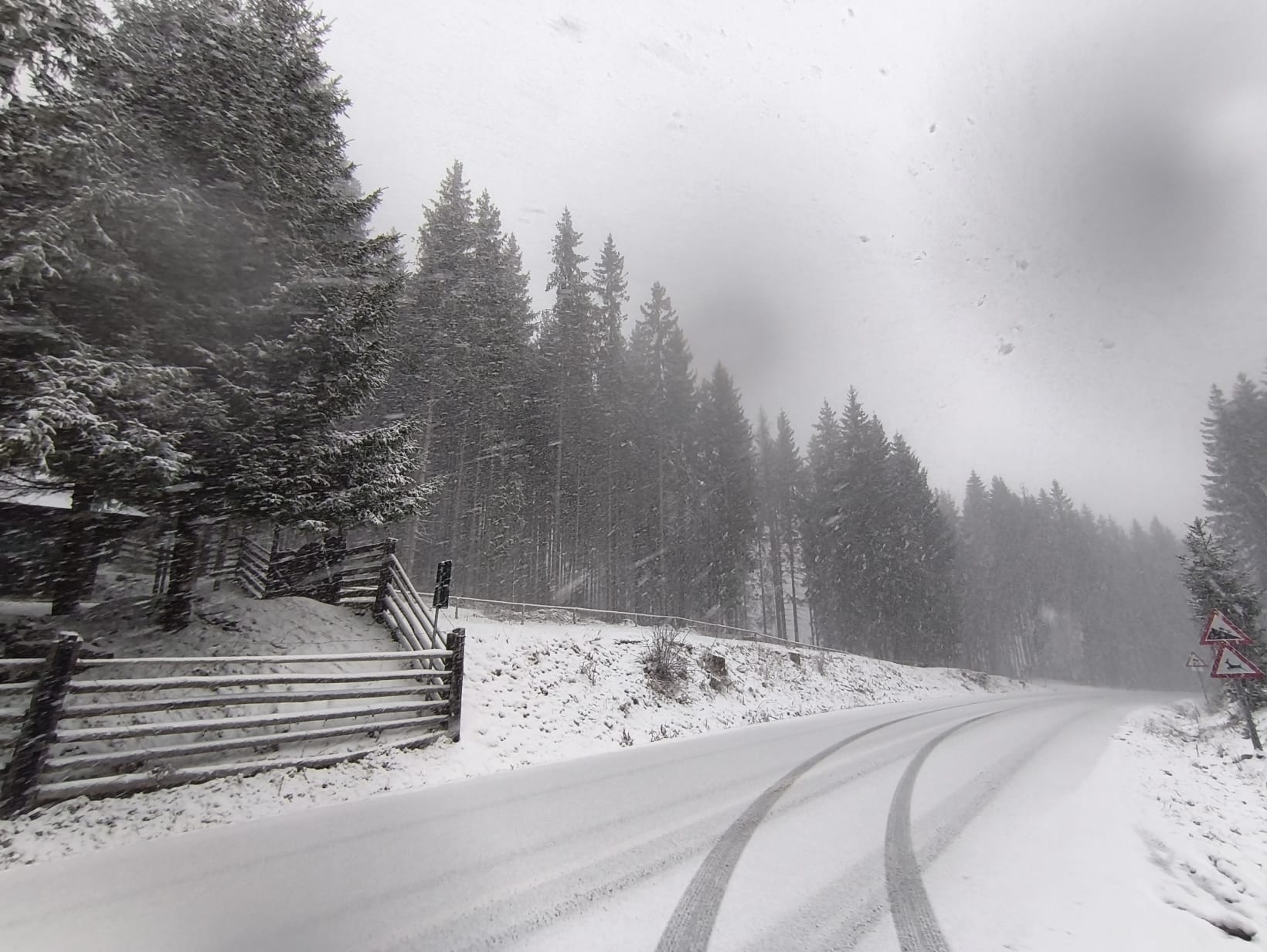 Ninge în zonele montane din Suceava și alte județe