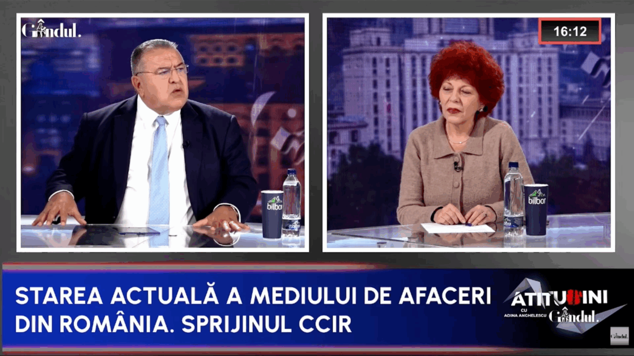 Ce impact are energia asupra competitivității companiilor? Mihai Daraban: „E devastator! Statul are profit de 2 miliarde de euro pe care îi toacă”