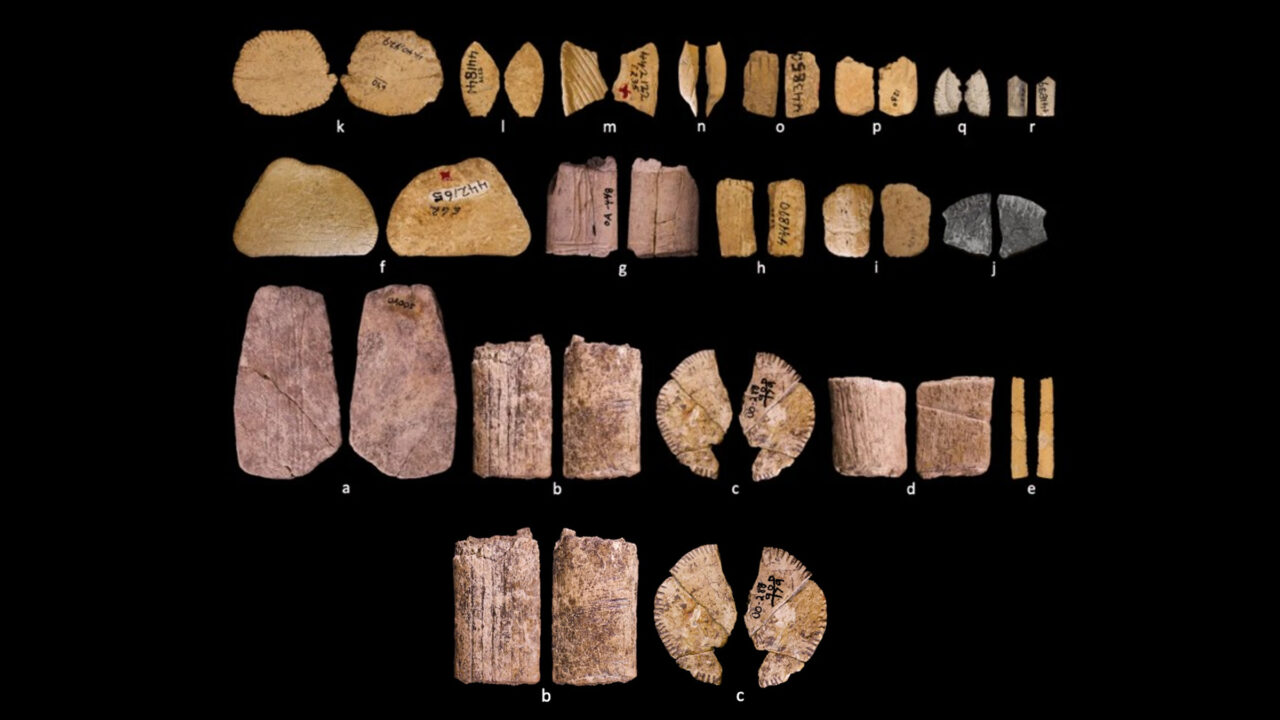 Primele zaruri din lume. Ce jucau amerindienii acum 12.000 de ani, table, yams sau barbut?