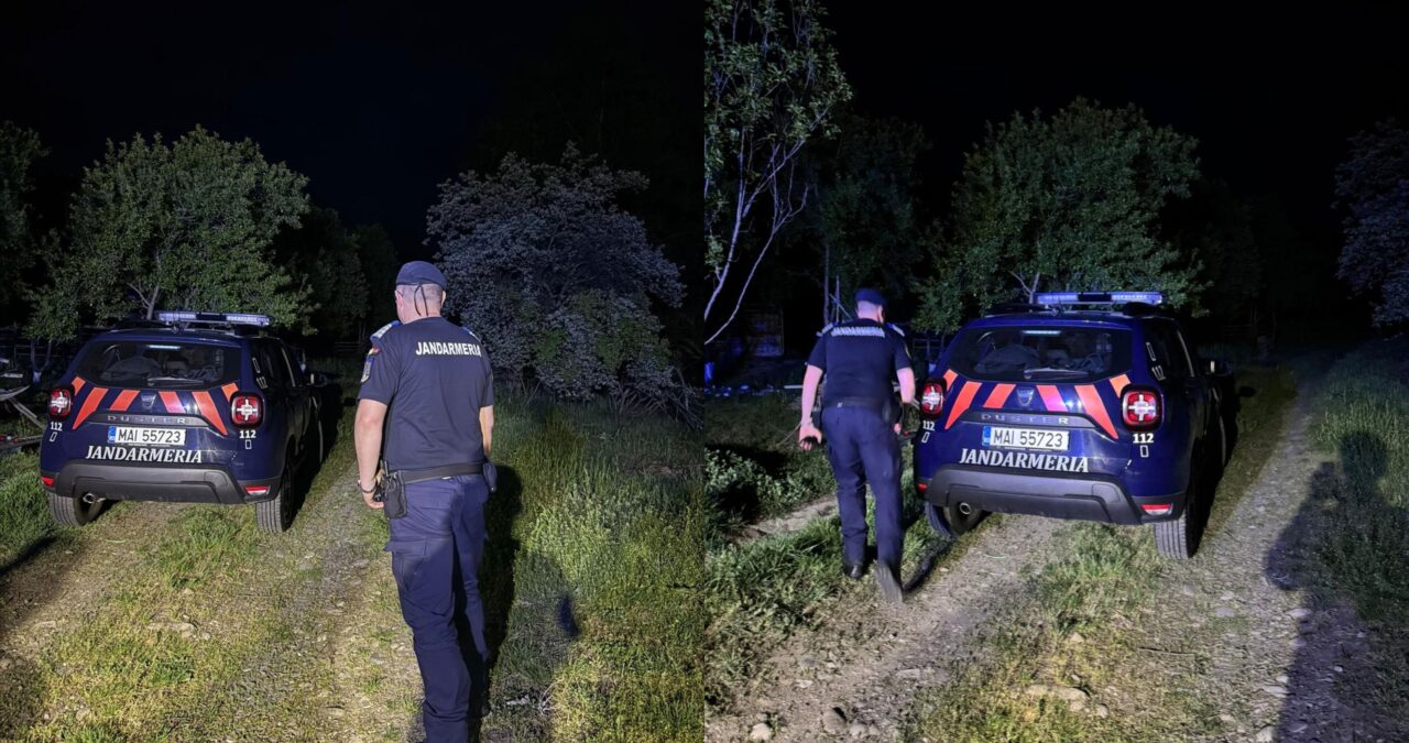 Imagini greu de privit în Călimănești-Vâlcea. Oameni înarmați cu lopeți aleargă un urs rănit în gardul electric