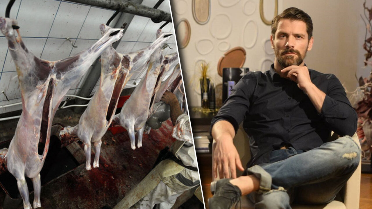 Actorul român violator în serie, trimis să lucreze cu animale proaspăt tăiate. Cum a ajuns Alexander Zudor aproape liber
