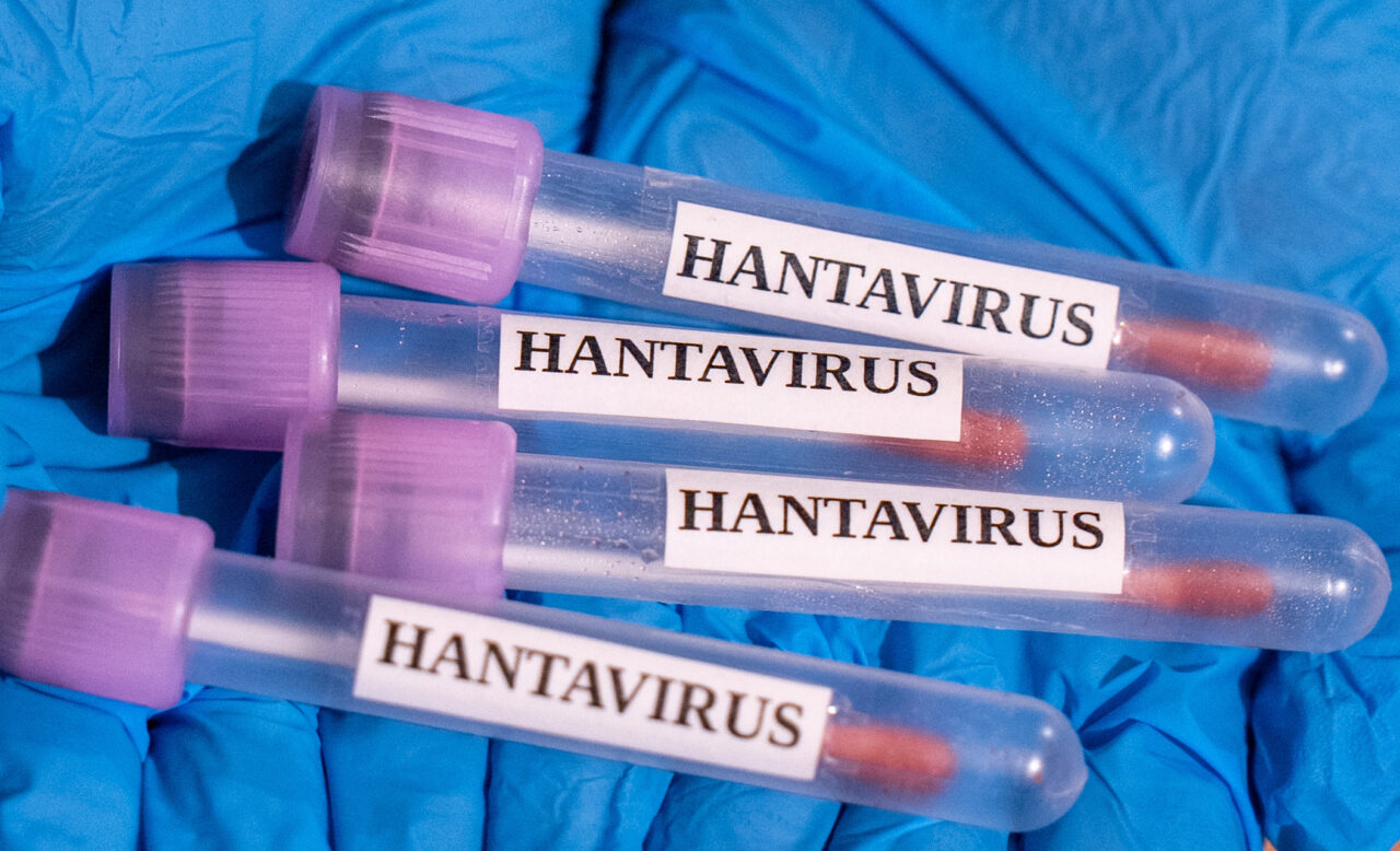 OMS încearcă să calmeze temerile după „isteria hantavirus”