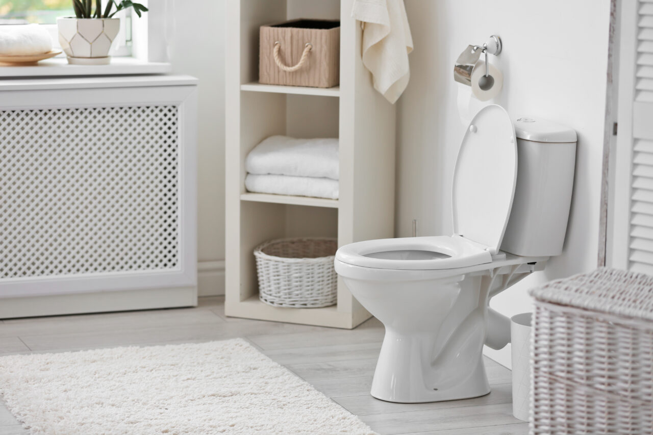 Ce NU trebuie să aruncăm în canalizare pentru că vasul de WC nu este coș de gunoi! Topul obiceiurilor care ne pot înfunda țevile și polua apa