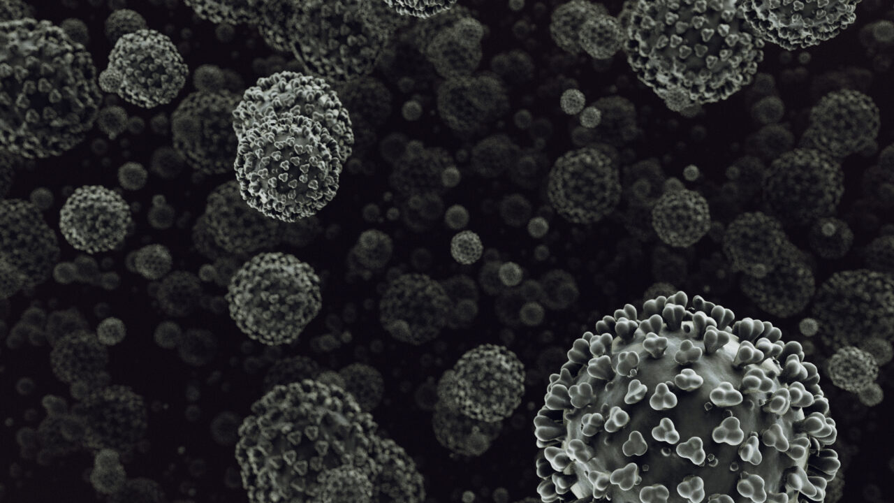 Hantavirus: misterioasa boală din timpul Războiului din Coreea care a ucis 250 de soldați