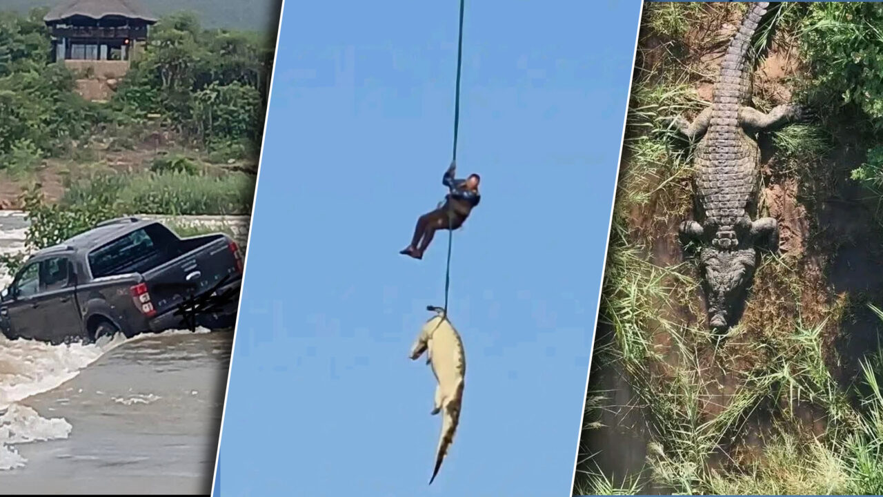 Operațiune riscantă pentru recuperarea unui om de afaceri dispărut într-un râu plin de crocodili. Cum l-au găsit pe acesta