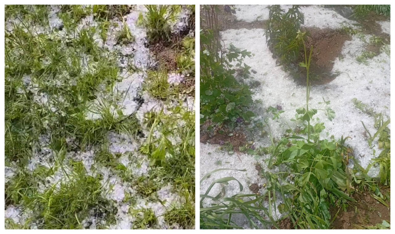 Furtuni puternice au făcut prăpăd în mai multe județe din țară. A plouat cu grindină, iar vântul puternic a rupt copaci și a smuls acoperișuri