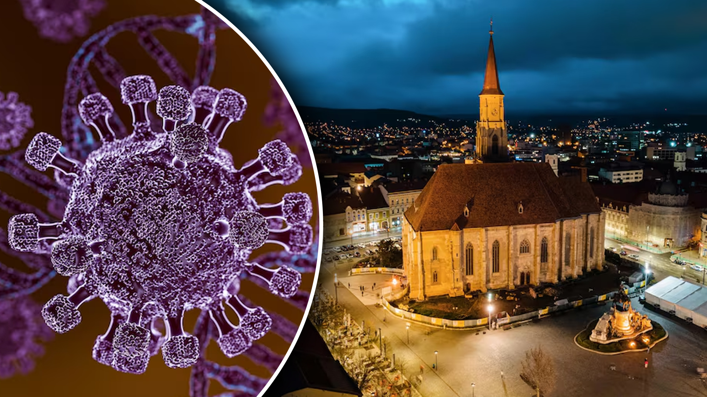 Primul caz de hantavirus în România, confirmat la Arad