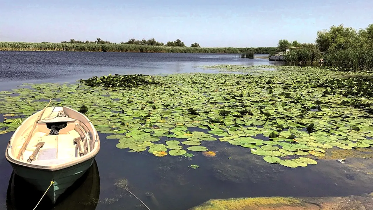 Turiștii fug de Delta Dunării după alertele cu drone. Primarul din Tulcea: „Ne-a afectat cel mai mult”