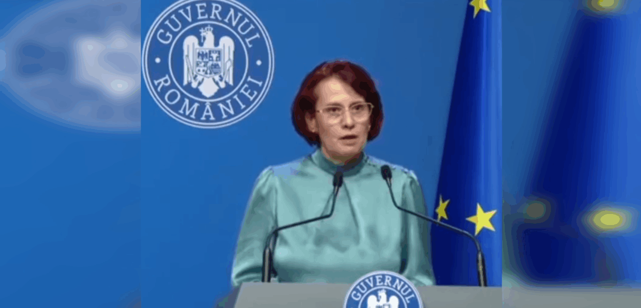 Purtătoarea de cuvânt a Guvernului sugerează că șeful Vămilor a fost arestat de DNA pentru că făcea reforme. Procurorii l-au ridicat pentru mită