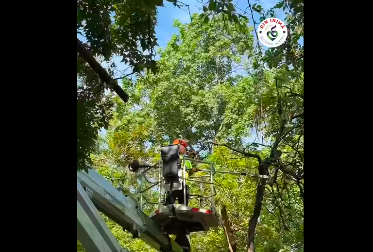(P)În Parcul Romniceanu din Sectorul 5 au fost pornite fântânile arteziene