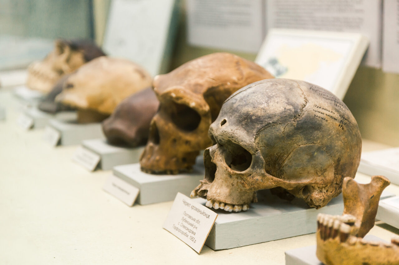 Descoperire uimitoare. Neanderthalienii tratau cariile cu unelte din piatră acum 60.000 de ani