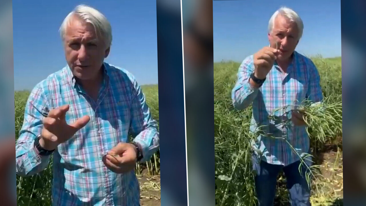 Care este marea iubire a şefului Curţii de Conturi. Eugen Orlando Teodorovici face dezvăluirea într-un lan de rapiţă.