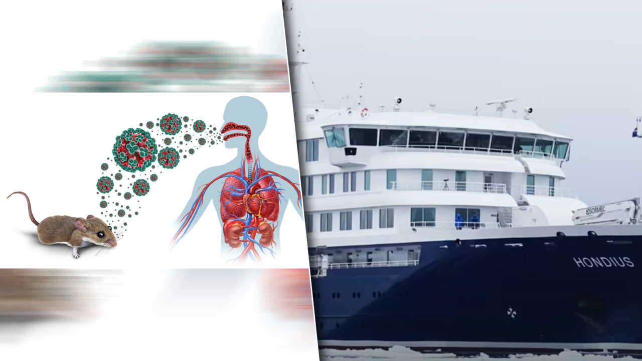 Medicii încearcă să evacueze doi pasageri de pe vasul din Cabo Verde după ce un german și doi olandezi au murit de la infecția cu hantavirus