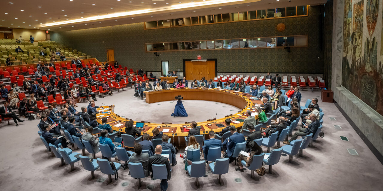 Lovitură dură pentru Berlin. Germania ratează obținerea unui loc în Consiliul de Securitate al ONU. Statul din Asia care a produs marea surpriză