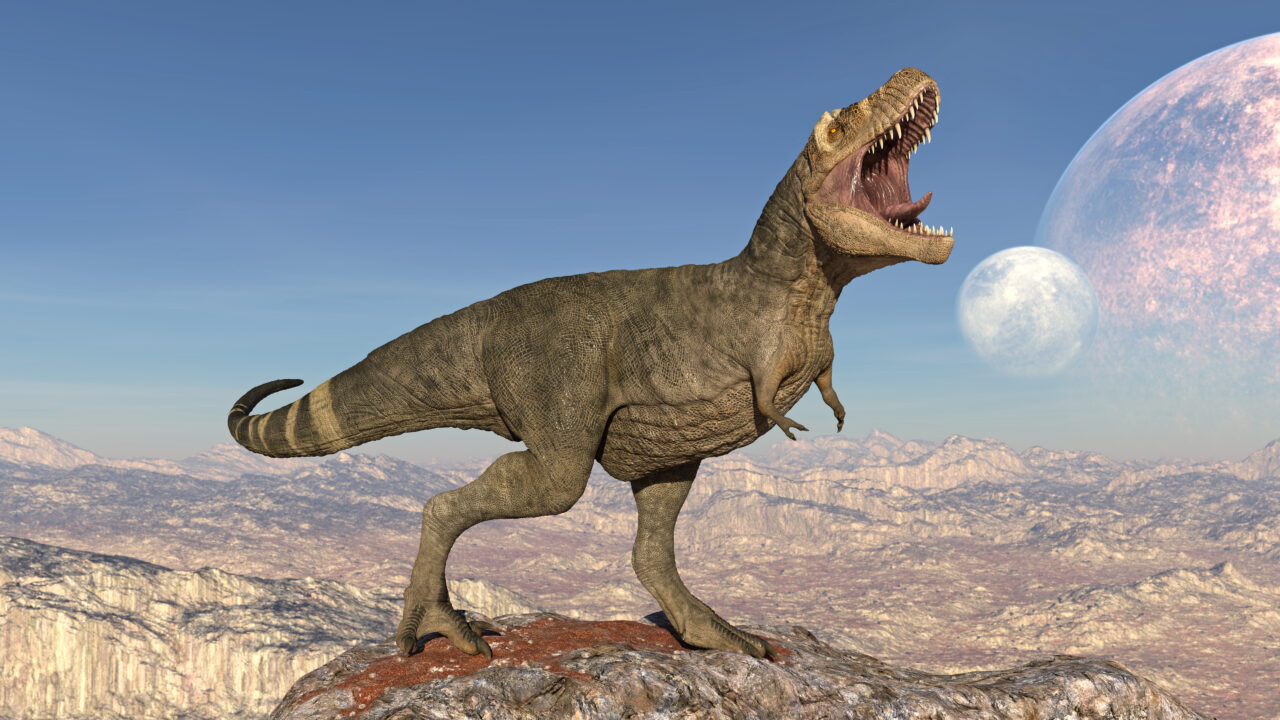 De ce avea T-Rex, cel mai temut dinozaur, brațe atât de mici? Cercetătorii cred că au găsit răspunsul