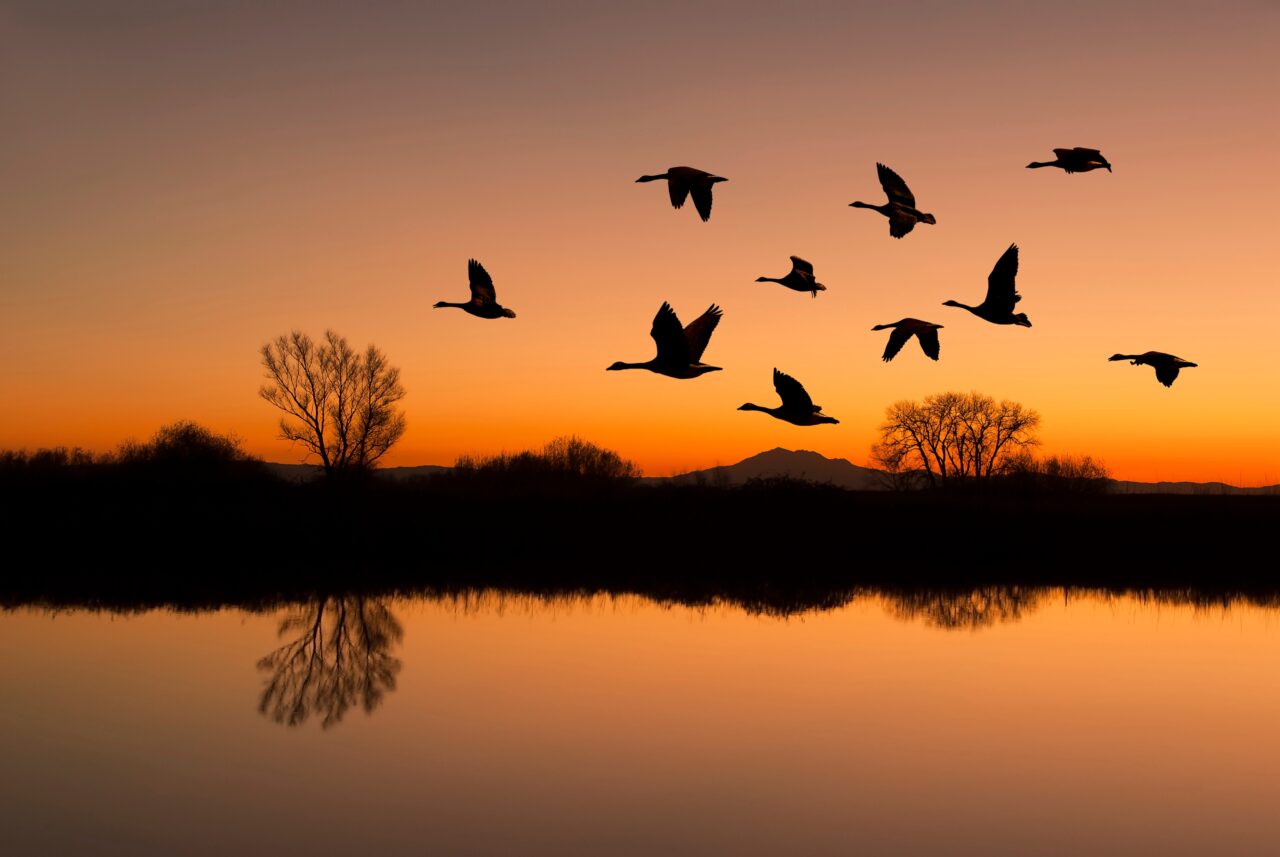 Un lac dispărut de peste un secol a revenit spectaculos, apoi a început să se evapore din nou