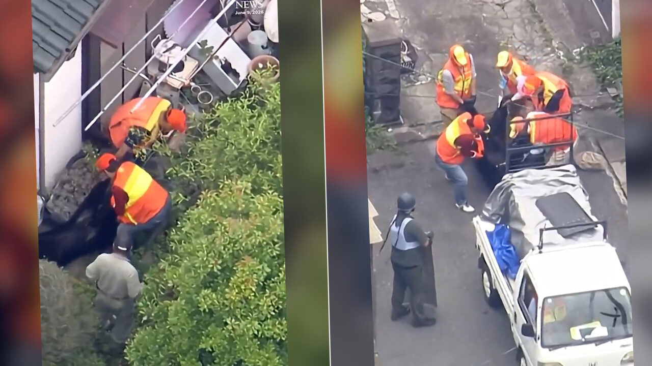 Alertă în Japonia: Un urs a închis 94 de școli. Animalul a f