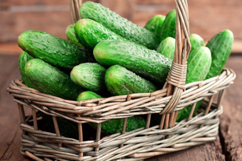 Rețeta pentru cei mai gustoși castraveți murați făcuți fără OȚET. Ingredientul secret pe care puține gospodine îl folosesc