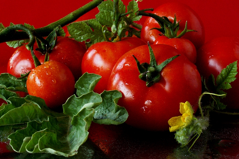 Dieta cu roșii, modul prin care poți avea greutatea dorită într-un timp RECORD
