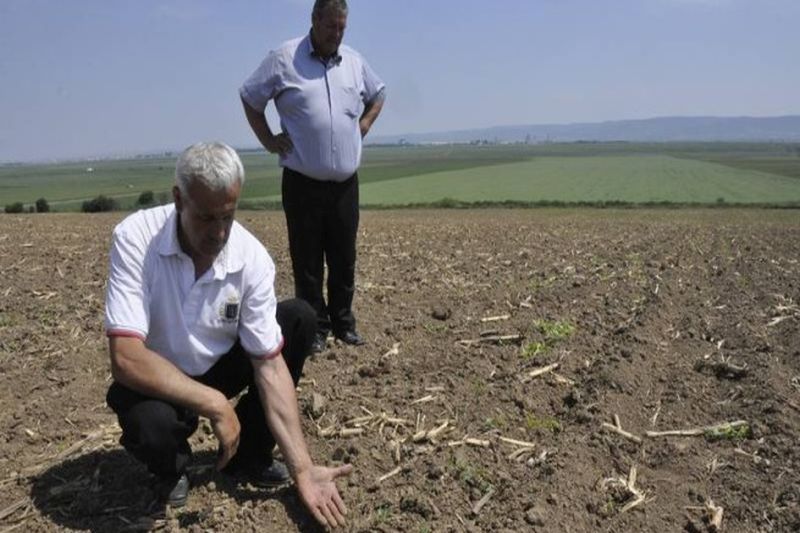 Previziuni. Producția de cereale încă mai e ținută în șah de secetă. Ploile și ninsorile nu au fost suficiente în toate zonele