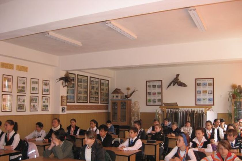 ElevÄƒ DatÄƒ AfarÄƒ De La Ore In ConstanÈ›a Dintr Un Motiv SuprinzÄƒtor Ce A PÄƒÈ›it Directoarea