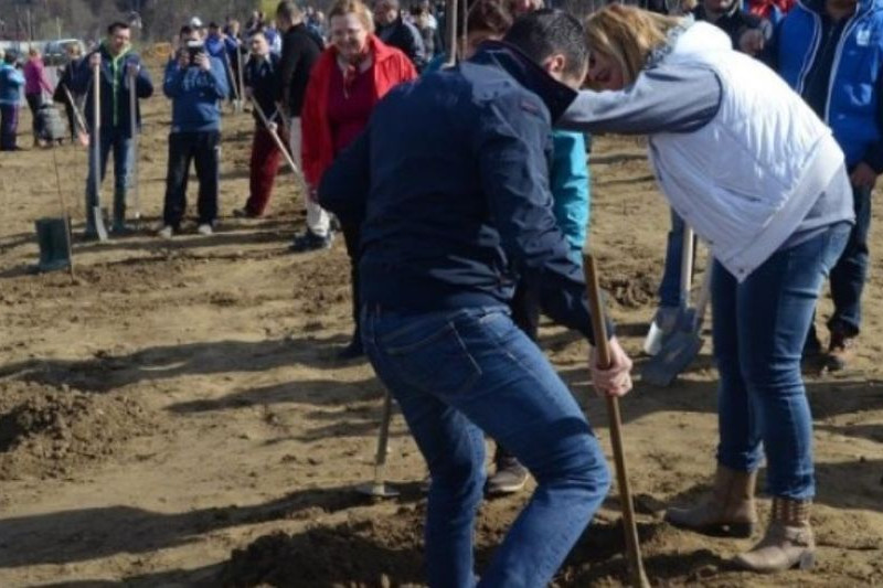 PROGRAM DE GUVERNARE / MEDIU. Plantarea a 220 milioane de puieți, reducerea cu 75% a deșeurilor la gropile de gunoi, restructurarea Romsilva