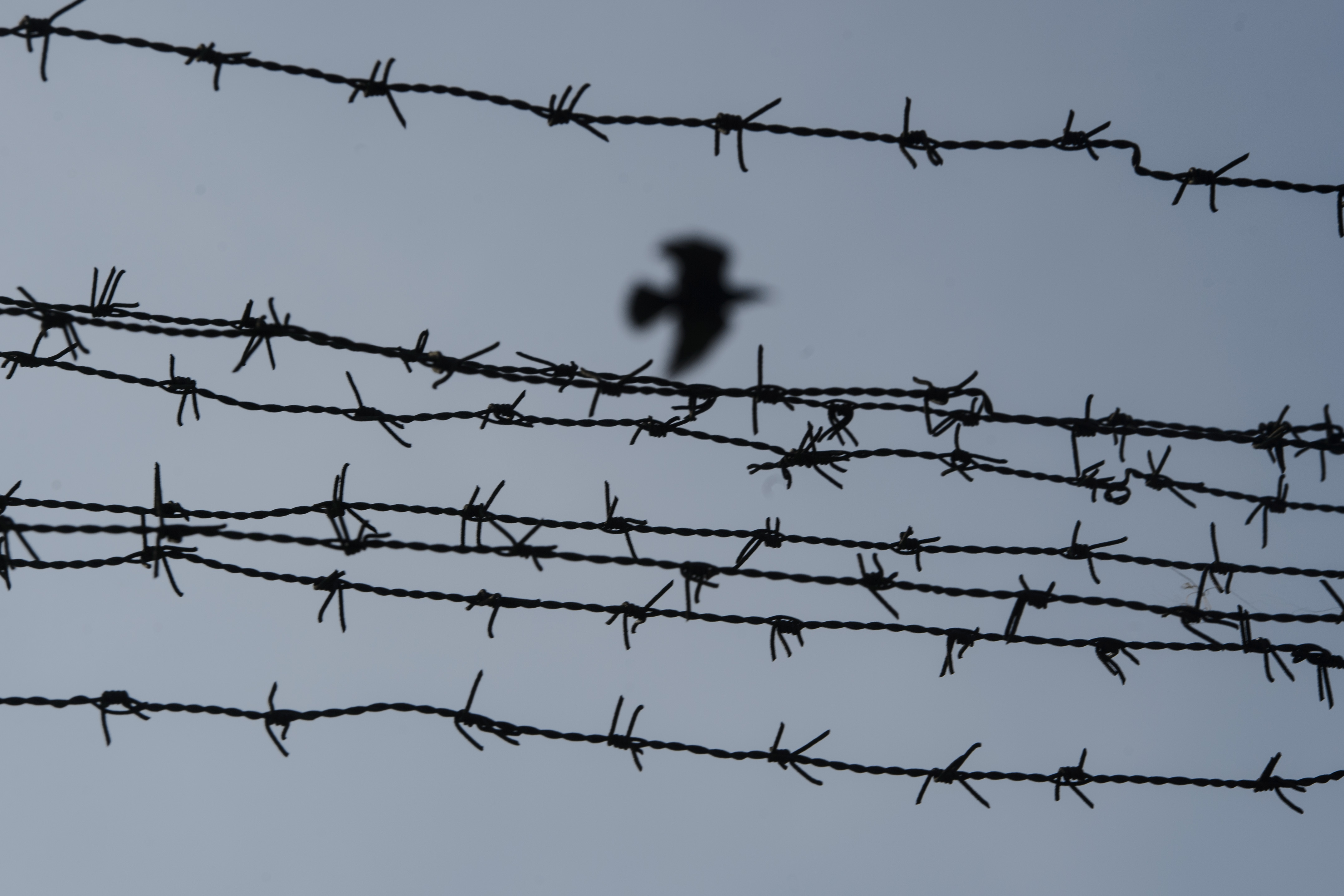 Interconnect suggest break down Țările care își închid închisorile din lipsă de deținuți. Cum arată un  penitenciar de 5 stele. „Scopul nostru nu e să umilim oamenii, ci să-i  schimbăm"