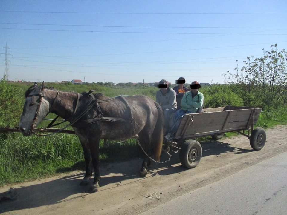 ANAF vinde 285 de căruțe, cu prețuri de la 14 lei, dar și 51 de mașini. Cât costă un Mercedes din 2011